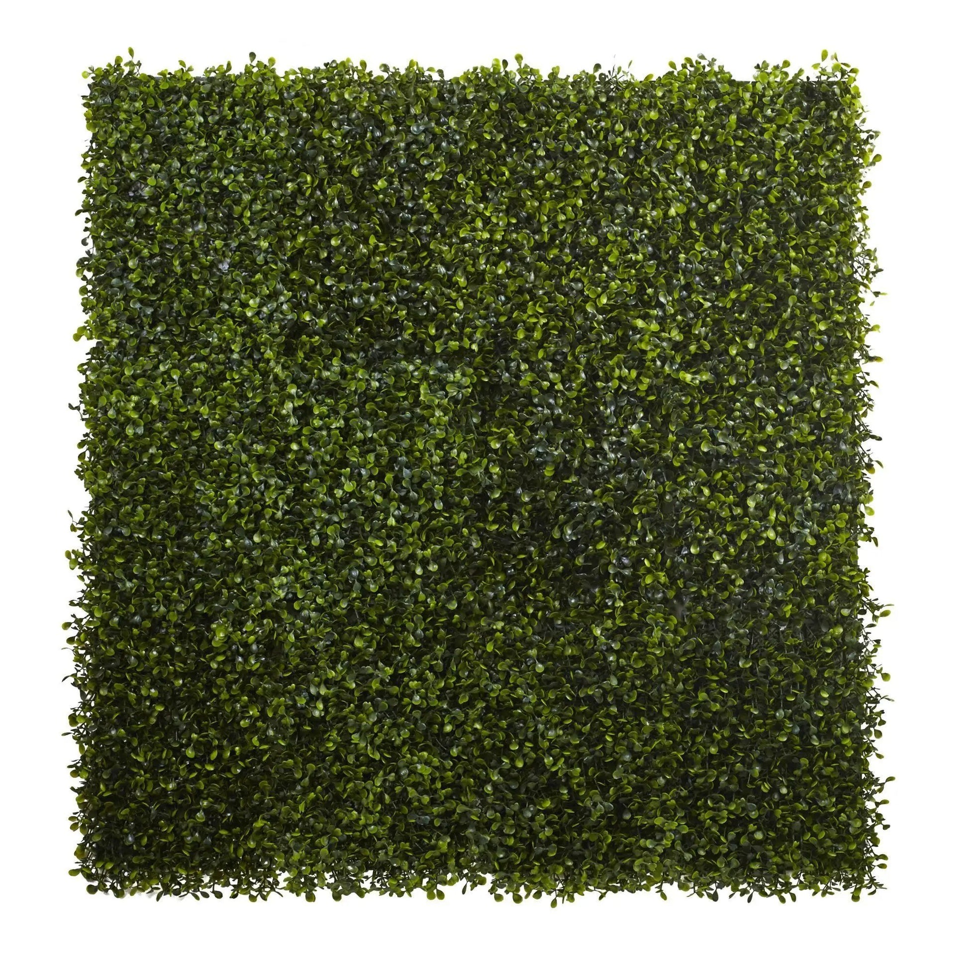 12” x 10” Boxwood Mat (Set of 12) - Tampa Home & Garden Store