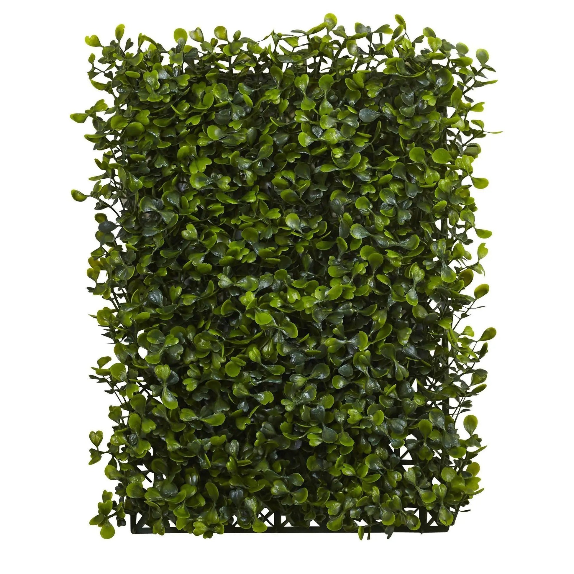 12” x 10” Boxwood Mat (Set of 12) - Tampa Home & Garden Store