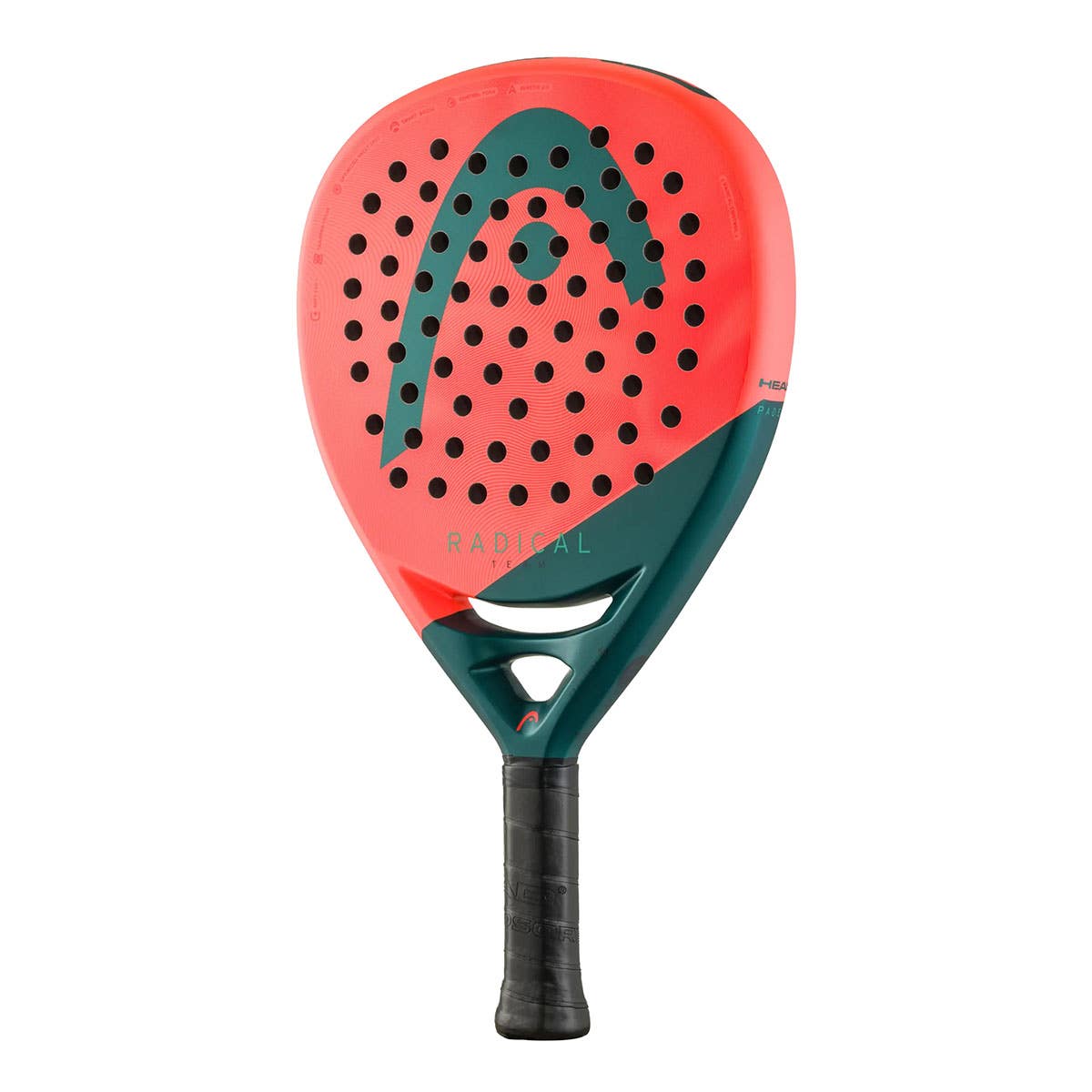 Head Radical Team 2026 padel racket in coral pink and teal with perforations HEAD badge on Tampa Home & Garden Store