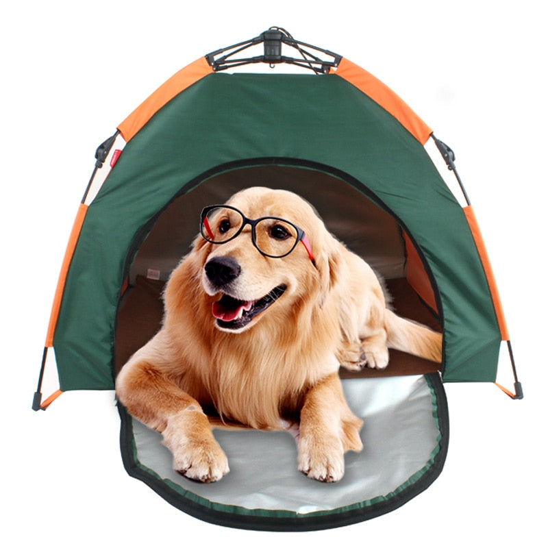 Outdoor Pet Tent green with orange trim, dog wearing glasses inside on Tampa Home & Garden Store