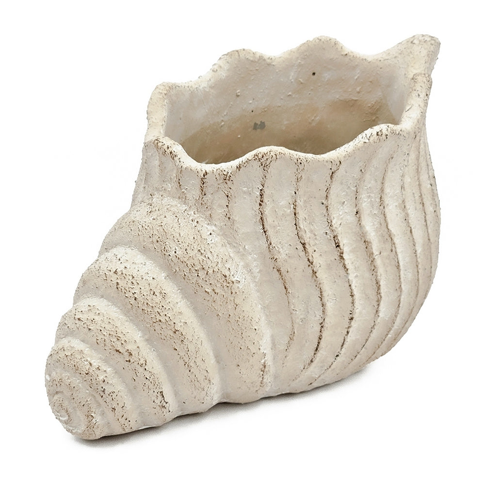 Nautilus shell planter in textured beige sand-and-cement finish with ribbed spiral design on Tampa Home & Garden Store