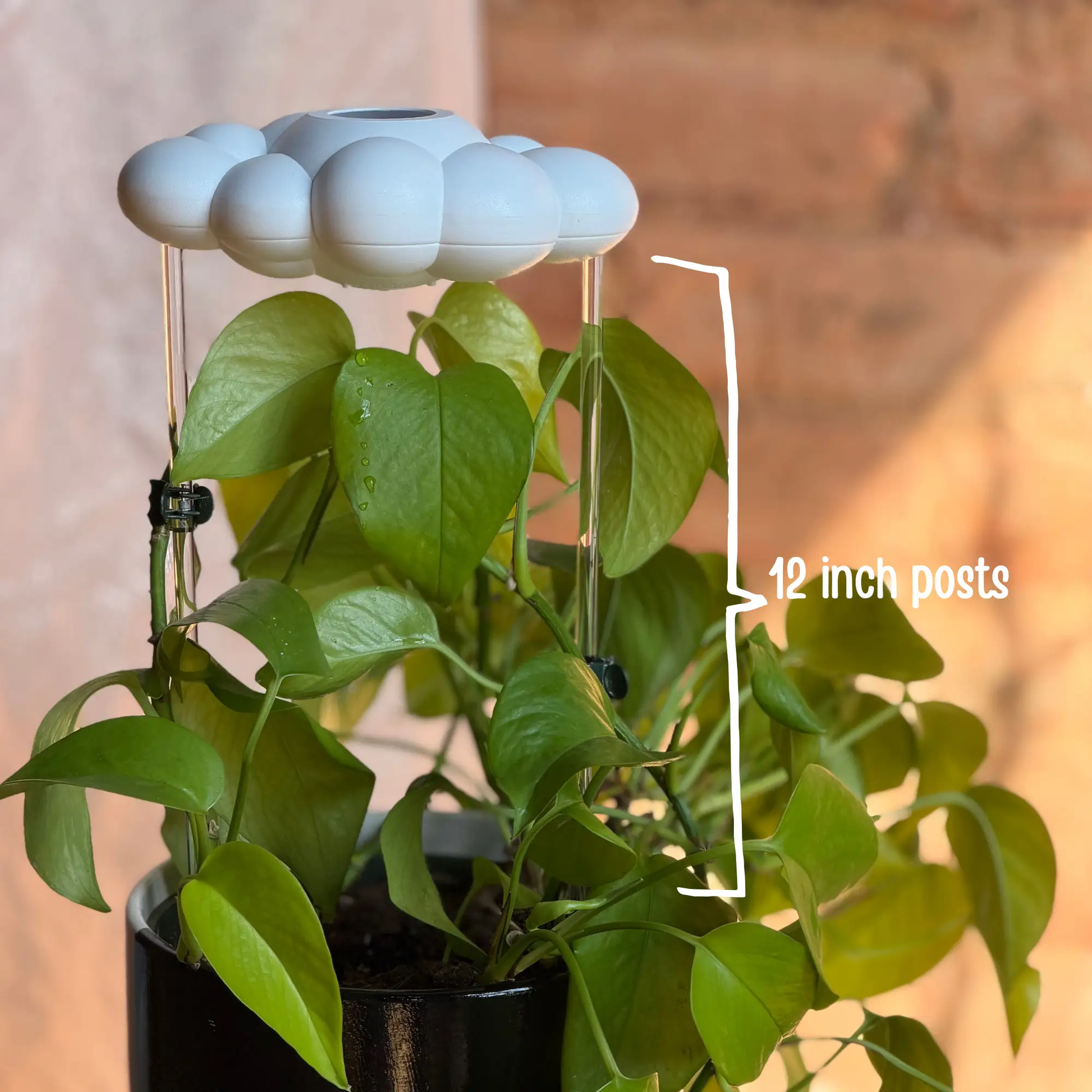 Chelsea the Cloud Plant Pal watering globe in soft blue cloud shape for growth on Tampa Home & Garden Store