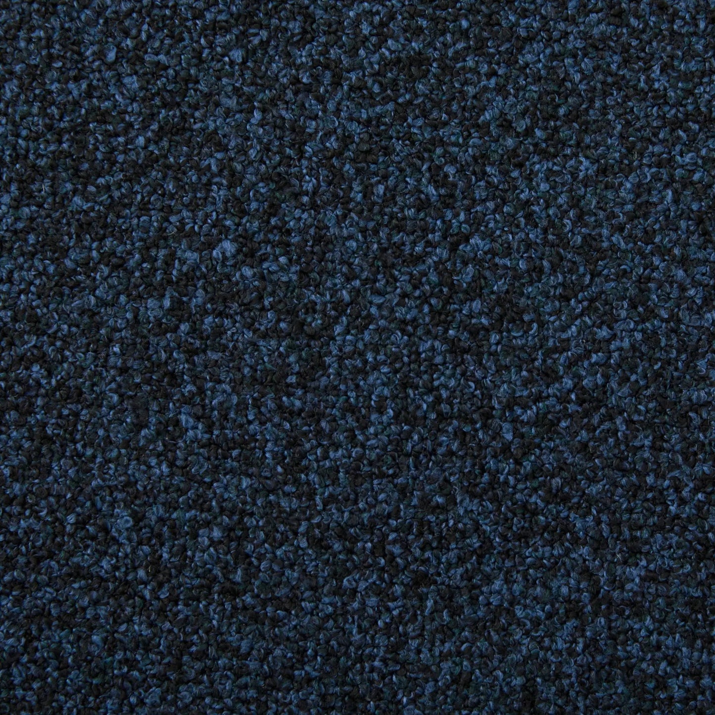 Dark blue textured loop-pile carpet close-up for home flooring on Tampa Home & Garden Store