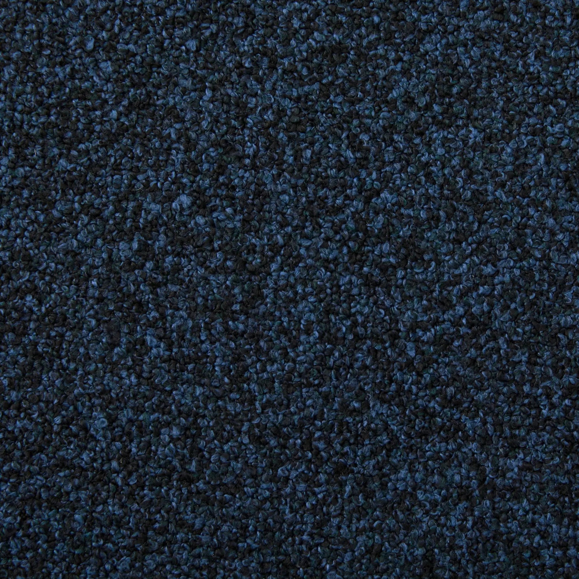 Dark blue textured loop-pile carpet close-up for home flooring on Tampa Home & Garden Store