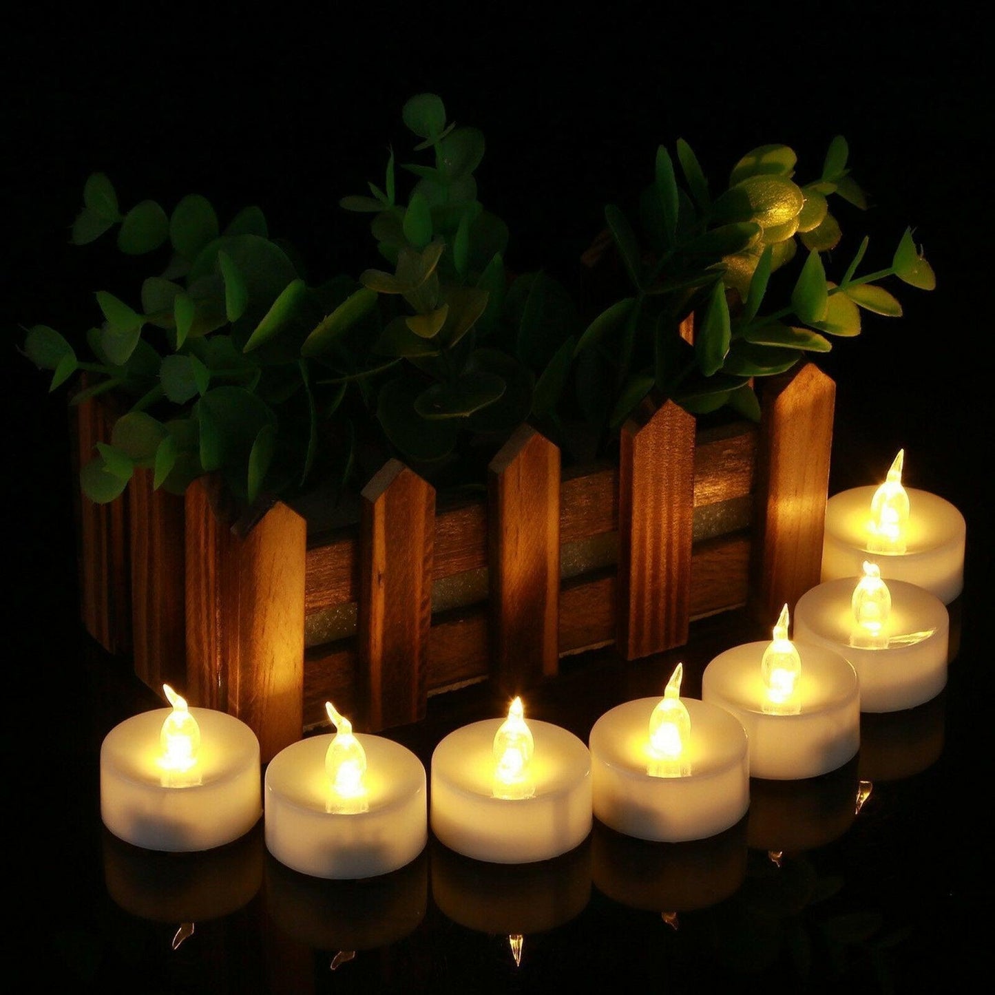 Flameless LED tea lights set, Stevvex 12pc, warm flicker, white plastic bases with green foliage on Tampa Home & Garden Store