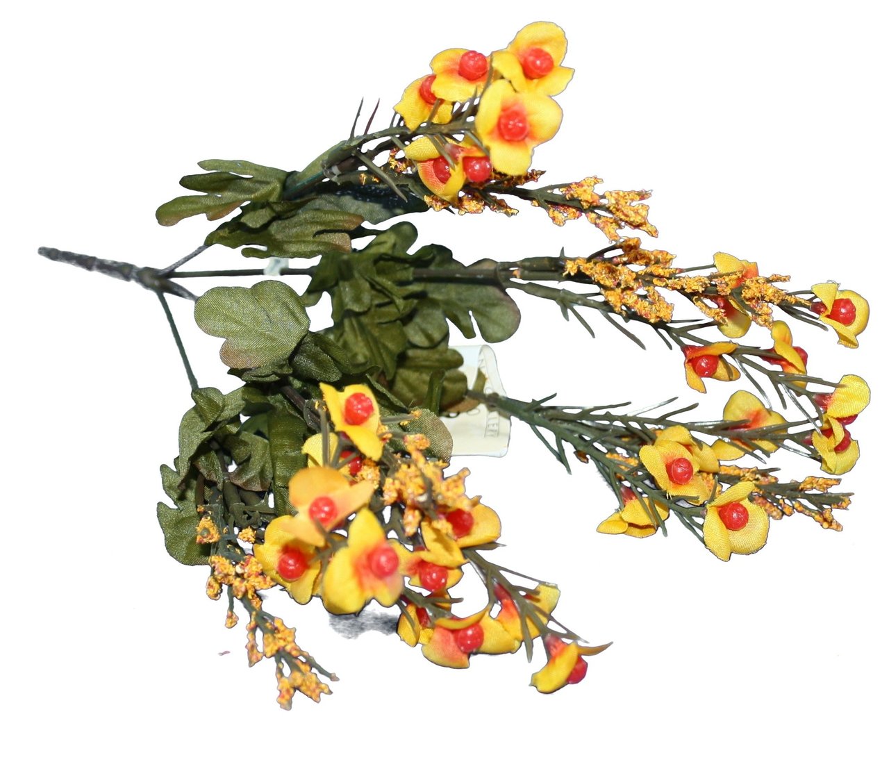 13.5 inch Bittersweet Bush - Tampa Home & Garden Store