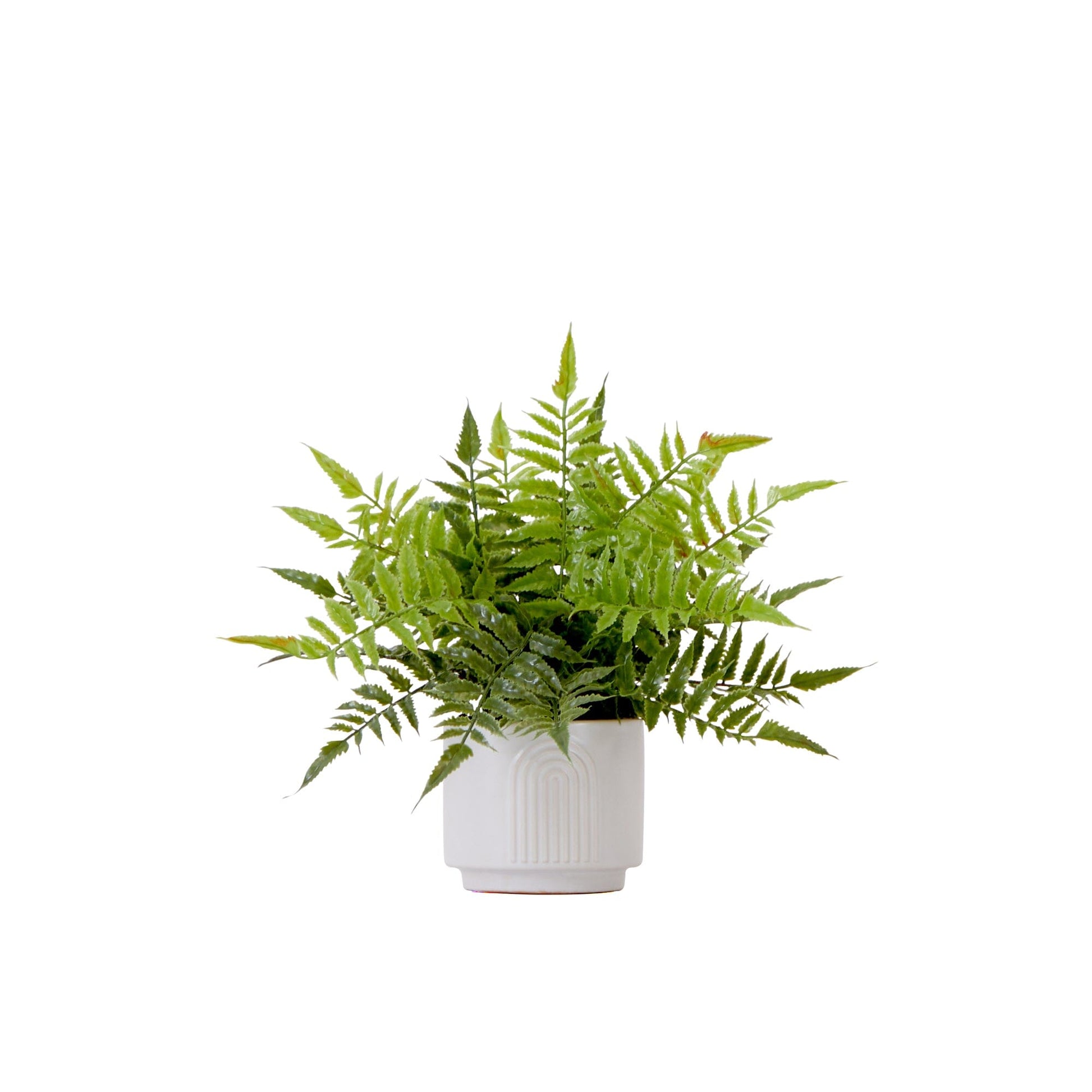 13" Artificial Boston Fern Plant with Decorative Planter - Tampa Home & Garden Store