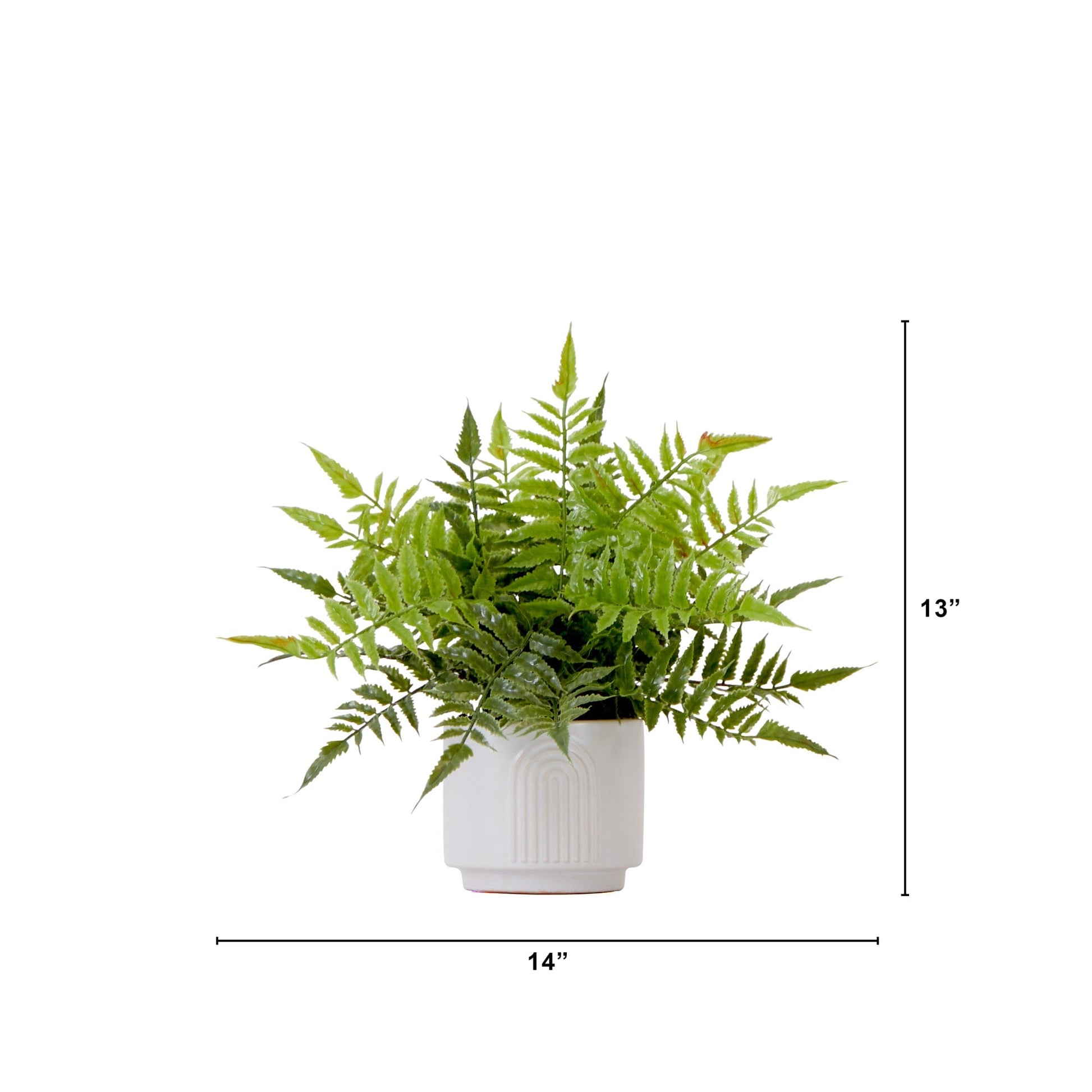 13" Artificial Boston Fern Plant with Decorative Planter - Tampa Home & Garden Store
