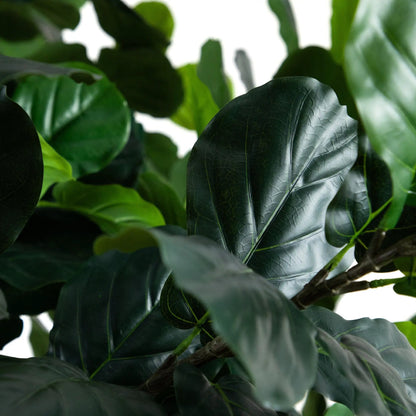 13’ Artificial Fiddle Leaf Fig Tree - Tampa Home & Garden Store