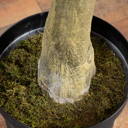 13’ Artificial Fiddle Leaf Fig Tree - Tampa Home & Garden Store