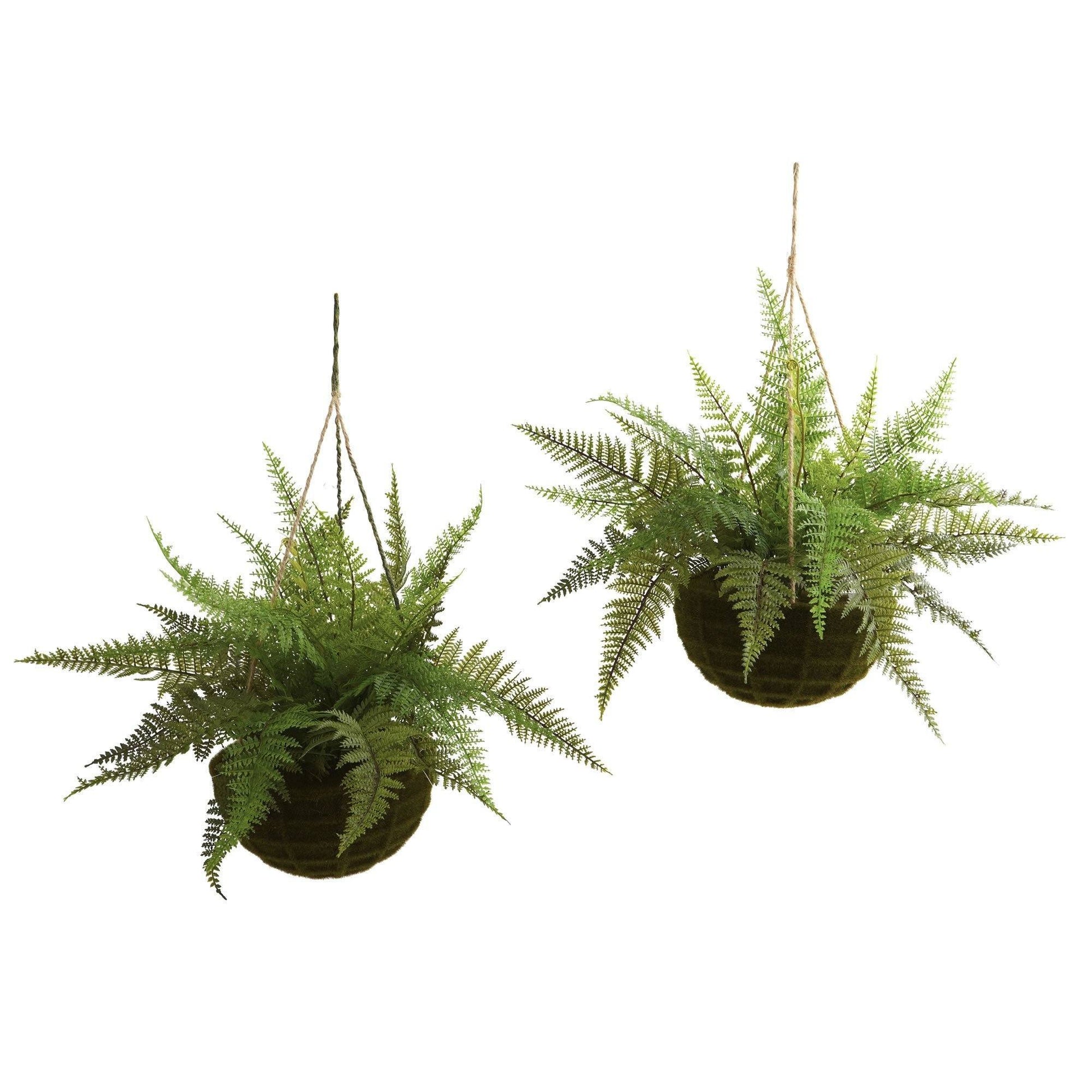 13" Leather Fern Hanging Basket w/ Moss - Set of 2 + (Indoor/Outdoor) - Tampa Home & Garden Store