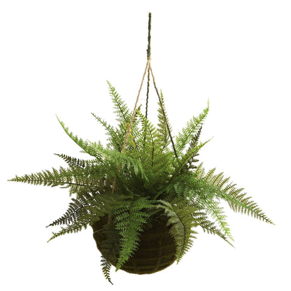 13" Leather Fern Hanging Basket w/ Moss - Set of 2 + (Indoor/Outdoor) - Tampa Home & Garden Store