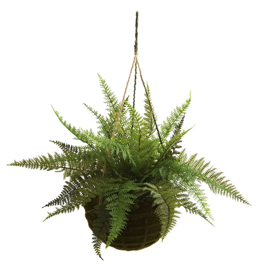 13" Leather Fern Hanging Basket w/ Moss - Set of 2 + (Indoor/Outdoor) - Tampa Home & Garden Store