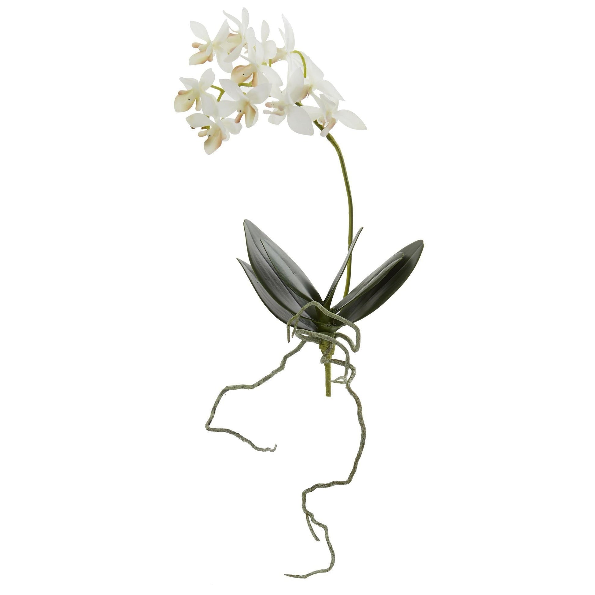 13” Mini Orchid Phalaenopsis Artificial Flower (Set of 6) - Tampa Home & Garden Store