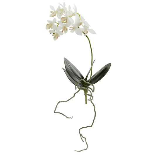 13” Mini Orchid Phalaenopsis Artificial Flower (Set of 6) - Tampa Home & Garden Store