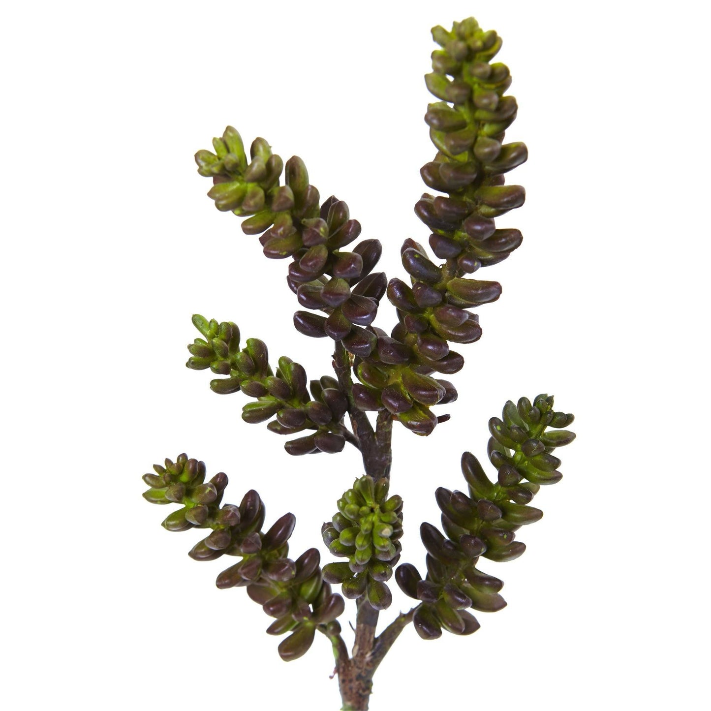 13” Succulent Artificial Flower (Set of 12) - Tampa Home & Garden Store