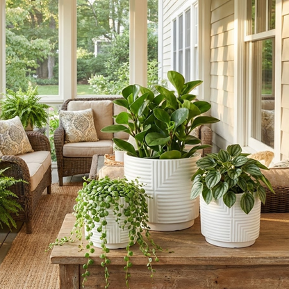 3-Piece White Stoneware Planter Set with Geometric Line Design