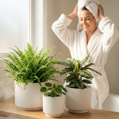 3-Piece White Stoneware Planter Pot Set with Ribbed Texture