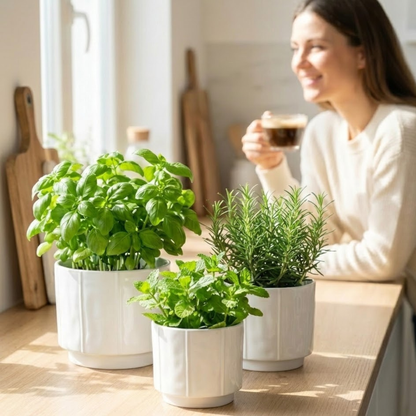 3-Piece White Stoneware Planter Pot Set with Soft Vertical Texture