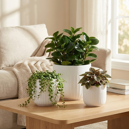 3-Piece White Stoneware Planter Pot Set with Vertical Groove Texture