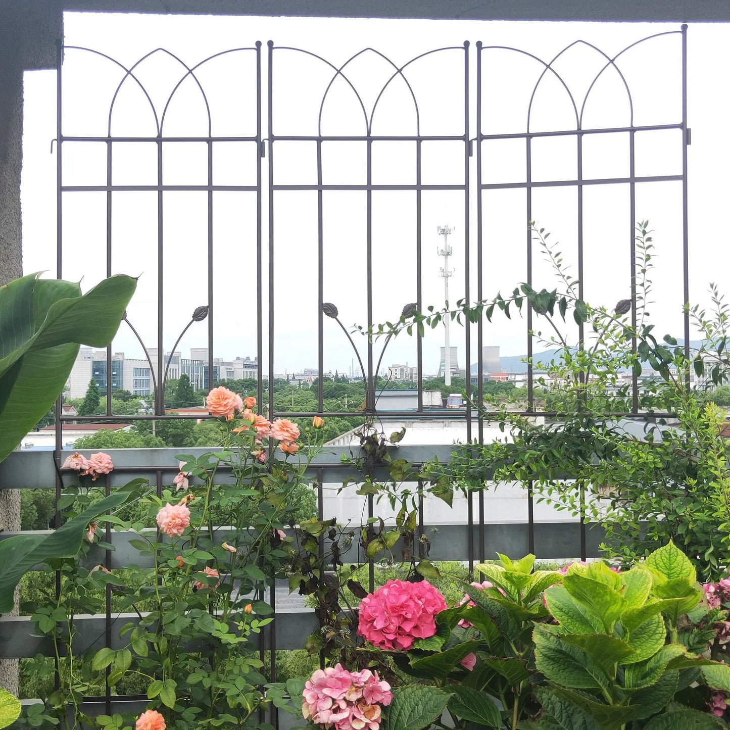 Rustproof Metal Trellis For Climbing Plants
