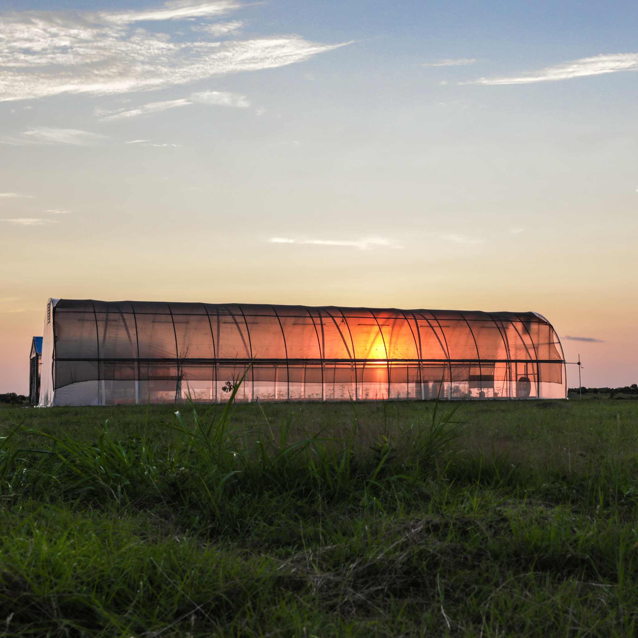 14' & 20'w Metal Hoop House Greenhouse Kit | Hoop Greenhouse Round