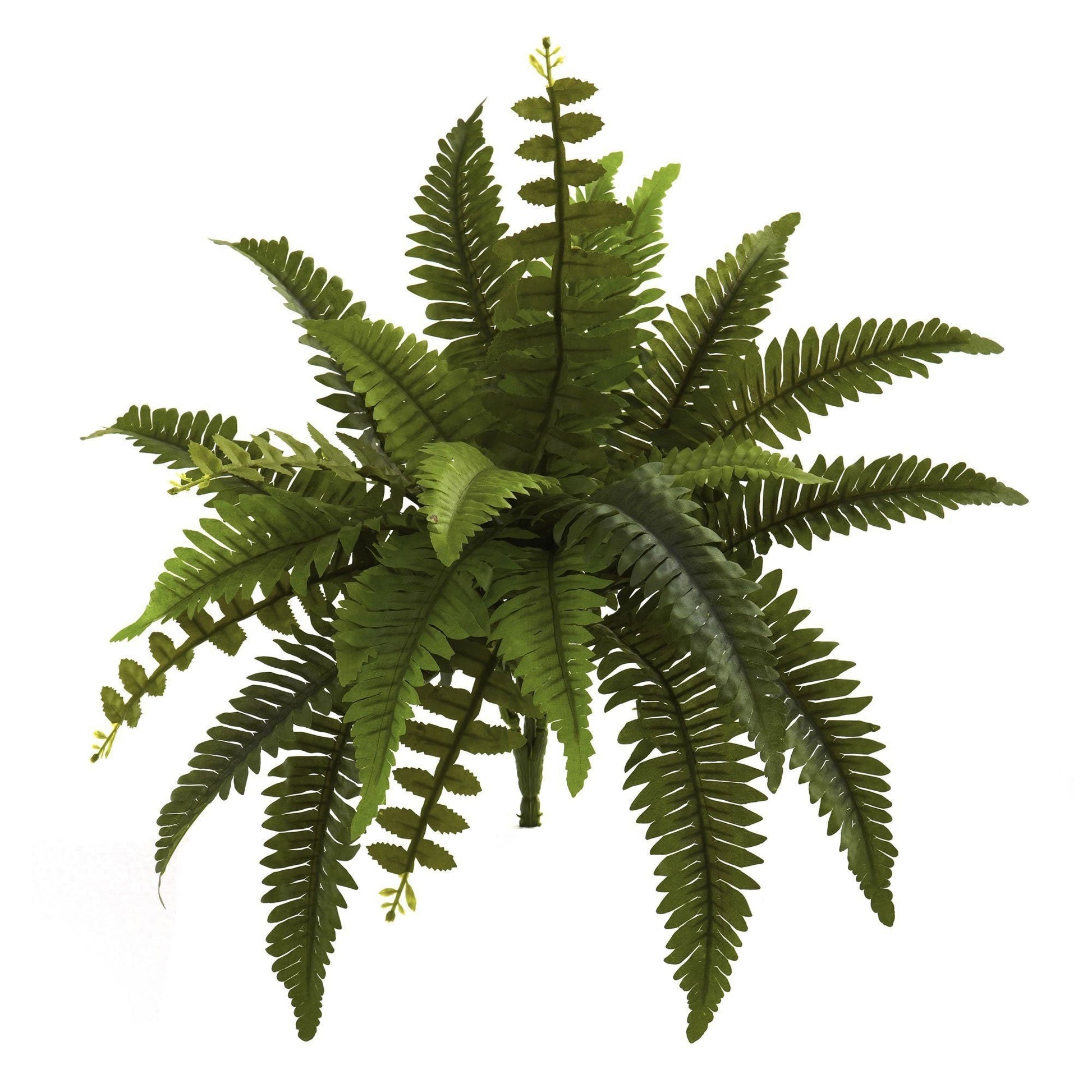 14” Boston Fern Artificial Plant (Set of 6) - Tampa Home & Garden Store