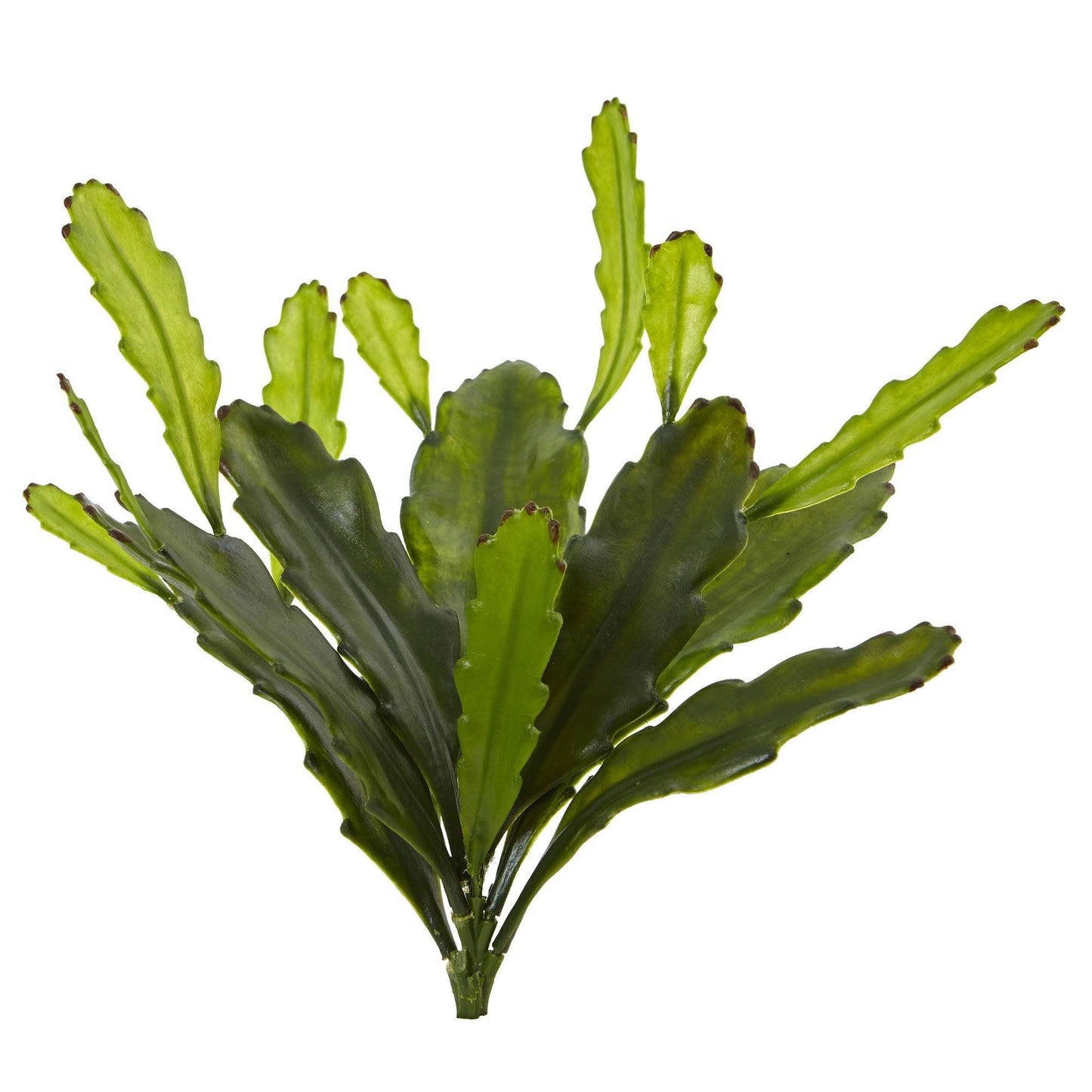 14” Epiphyllum Cactus Artificial Plant (Set of 4) - Tampa Home & Garden Store