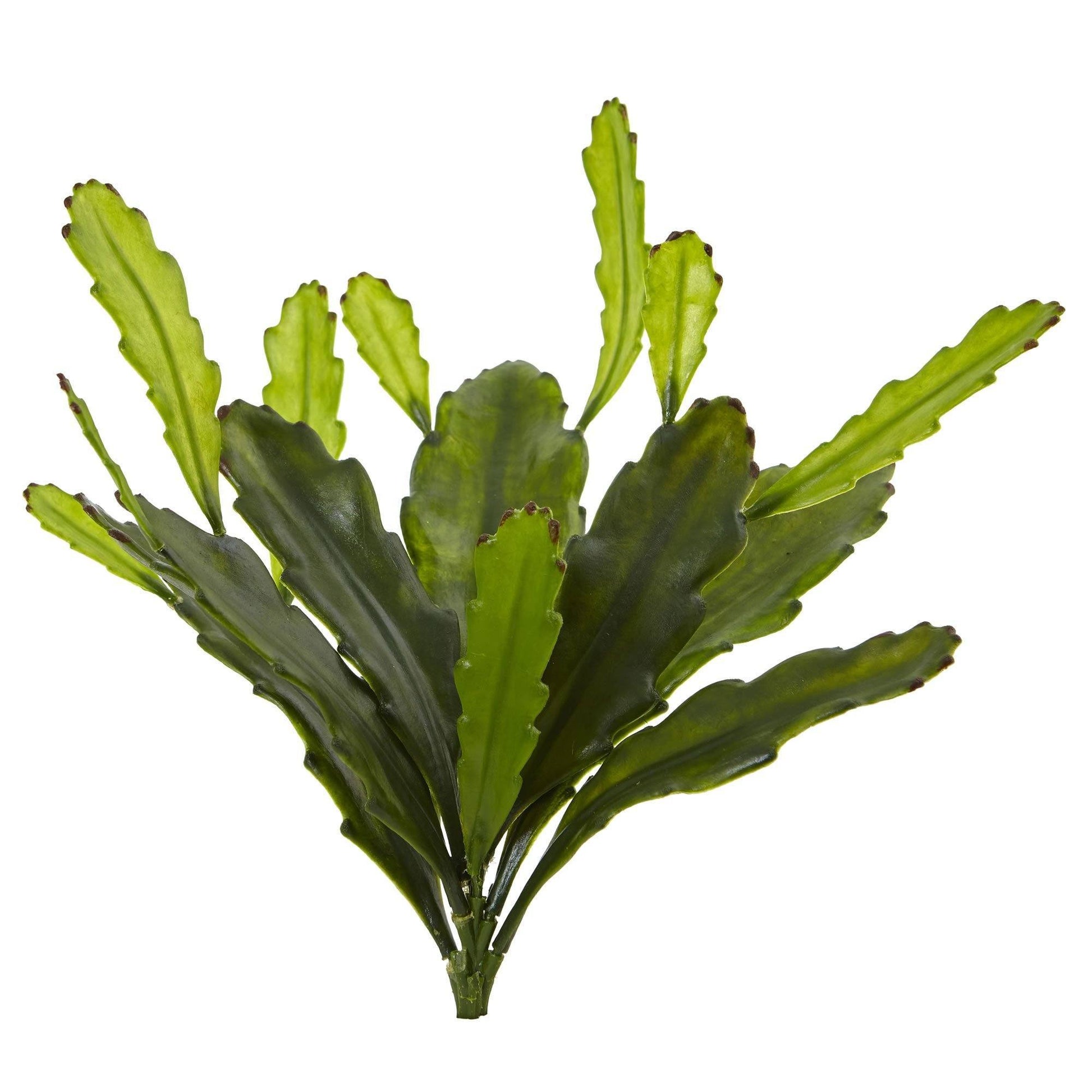 14” Epiphyllum Cactus Artificial Plant (Set of 4) - Tampa Home & Garden Store