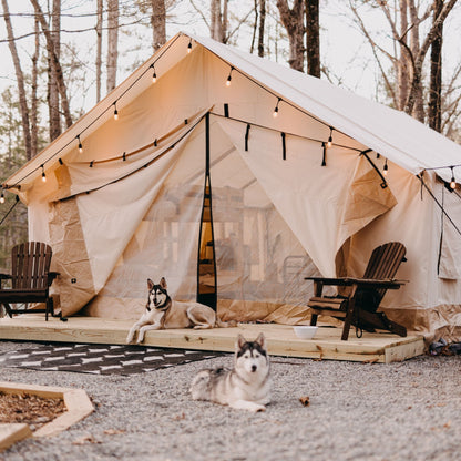 14'x16' Alpha Wall Tent - Tampa Home & Garden Store