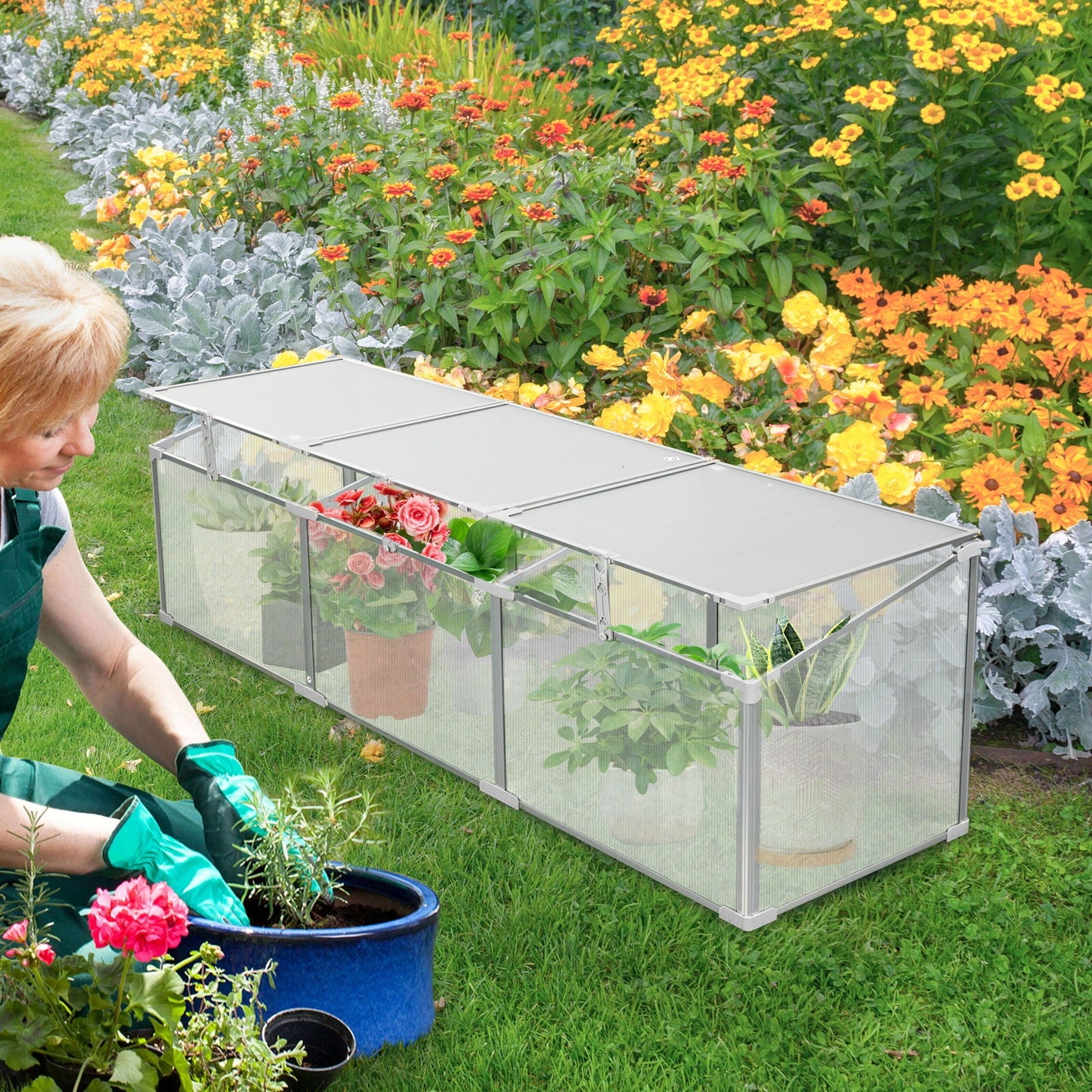 Indoor and Outdoor Polycarbonate Greenhouse