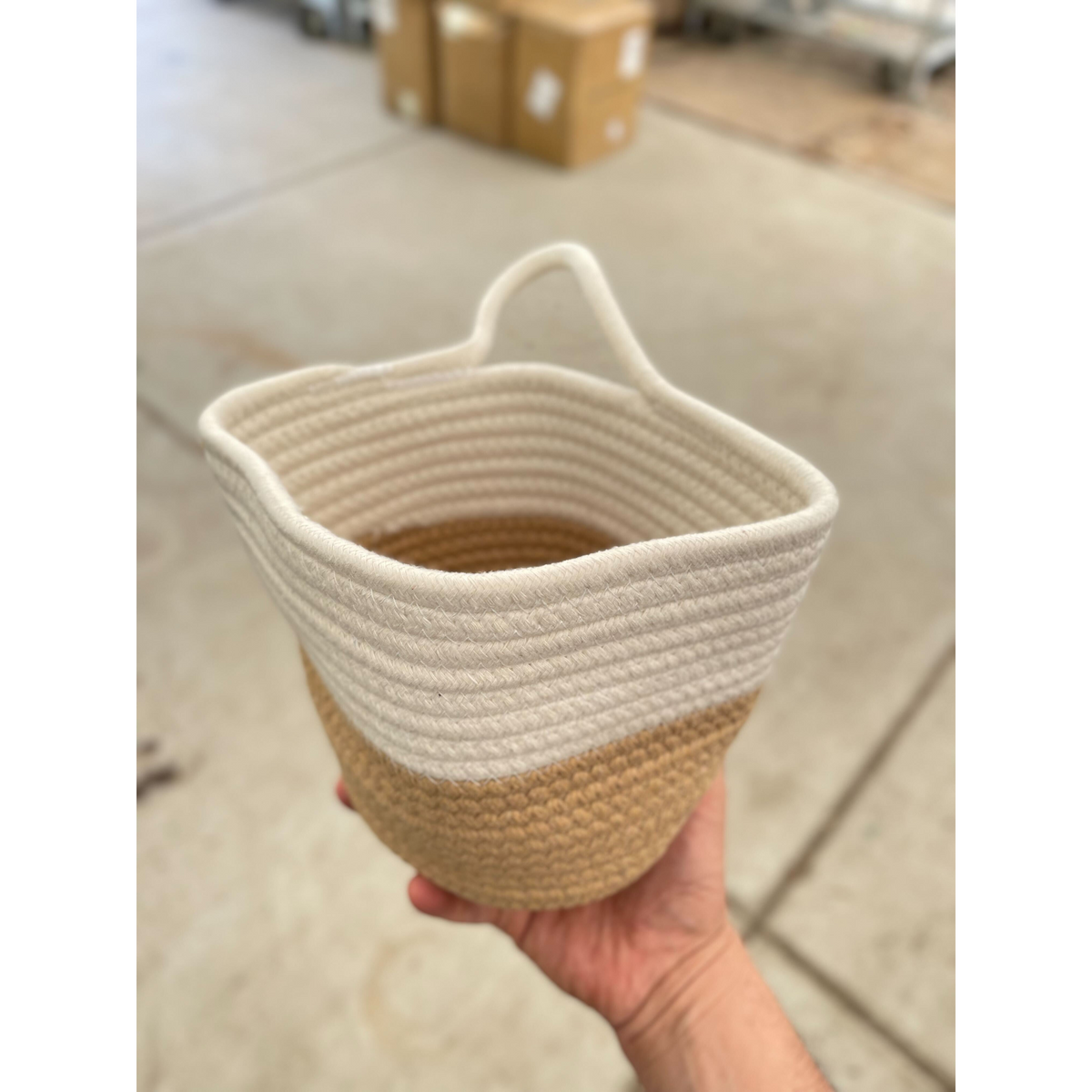 Basket Planter 6 inch woven seagrass with cream band by House Plant Shop on Tampa Home & Garden Store