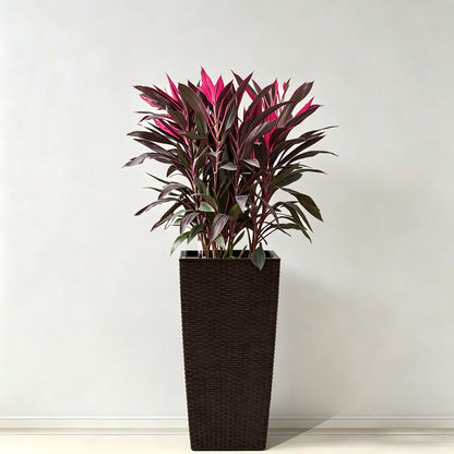 Indoor Outdoor Planter With Automatic Watering System in dark brown woven wicker on Tampa Home & Garden Store