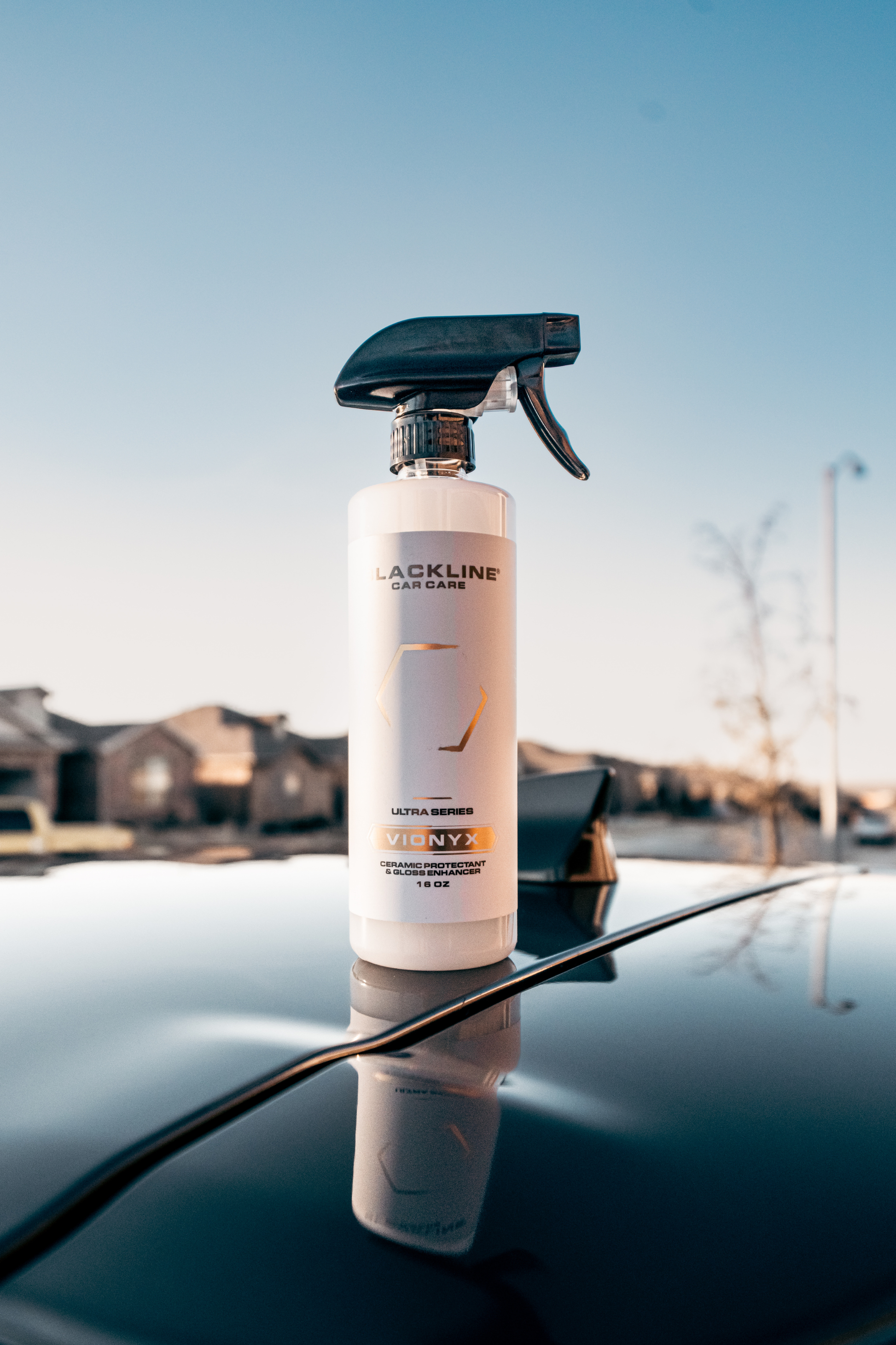 Blackline Car Care VIONYX ceramic protectant spray bottle with black trigger sprayer on Tampa Home & Garden Store