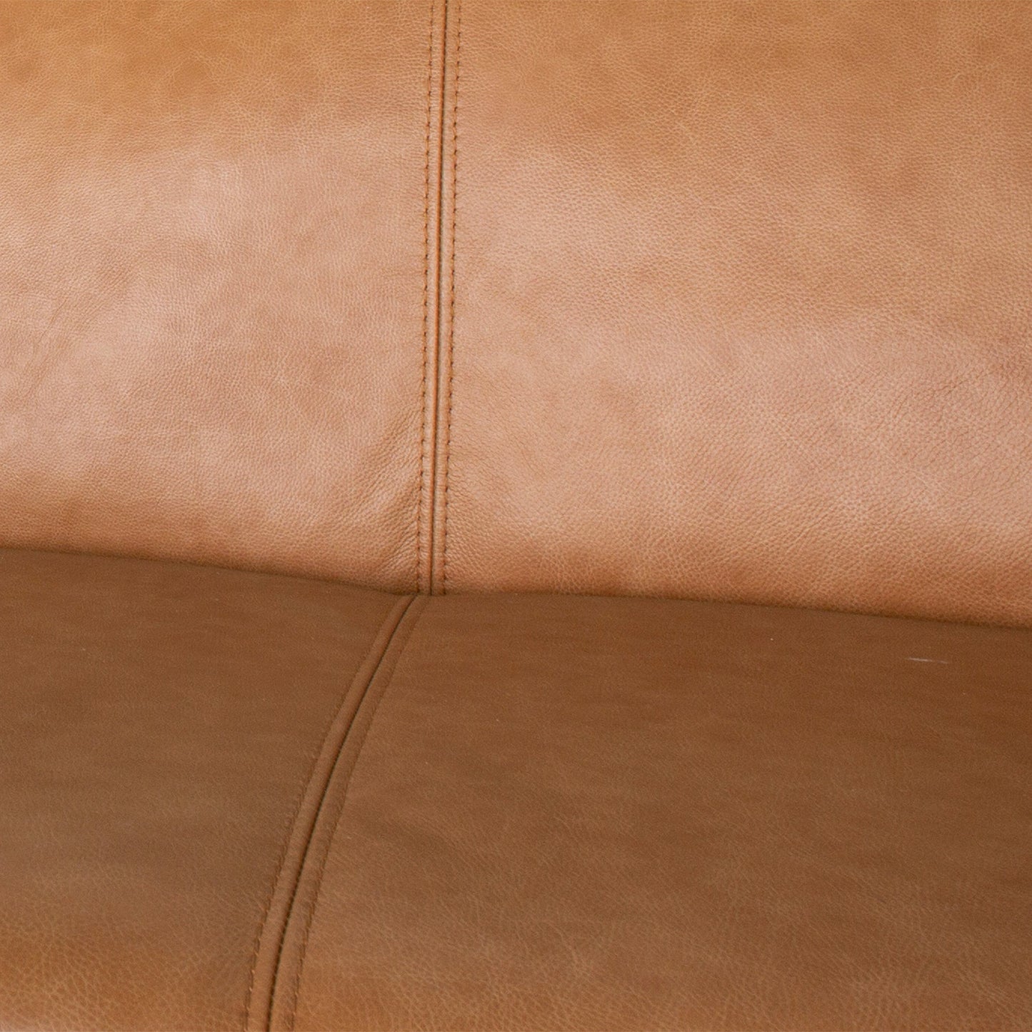 Luxury Phoenix Leather Sofa and Soft Backrest
