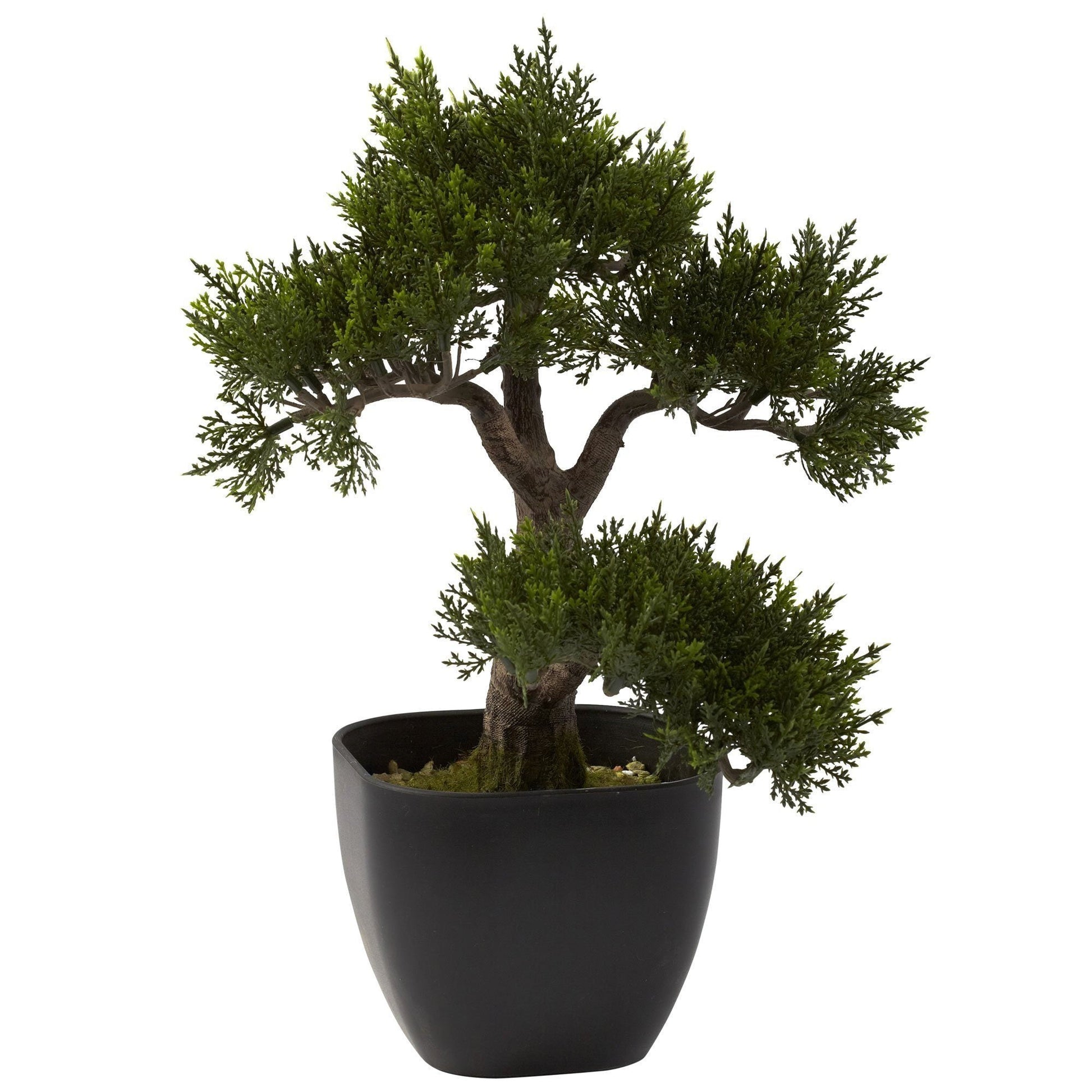 15” Artificial Cedar Bonsai Tree - Tampa Home & Garden Store