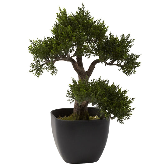 15” Artificial Cedar Bonsai Tree - Tampa Home & Garden Store