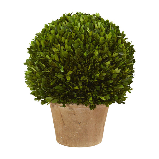 15” Boxwood Ball Preserved Plant in Planter - Tampa Home & Garden Store