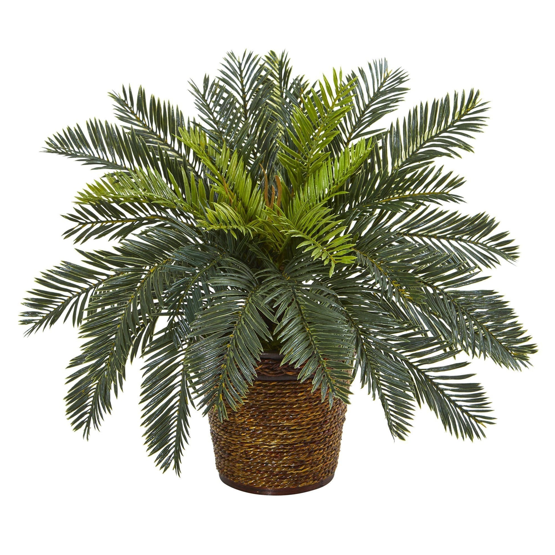 15” Cycas Artificial Plant in Basket - Tampa Home & Garden Store