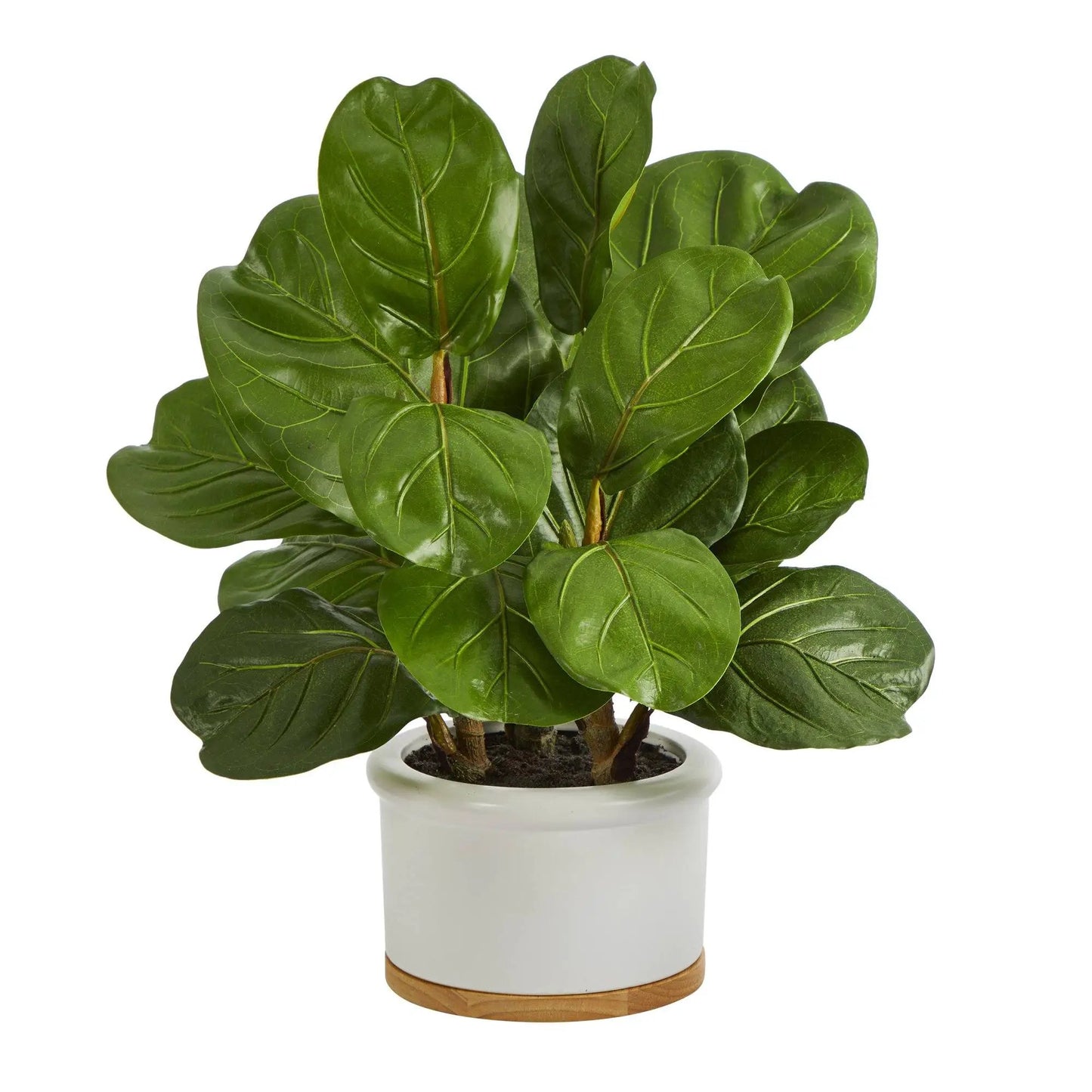 15” Fiddle Leaf Artificial Tree in White Planter - Tampa Home & Garden Store
