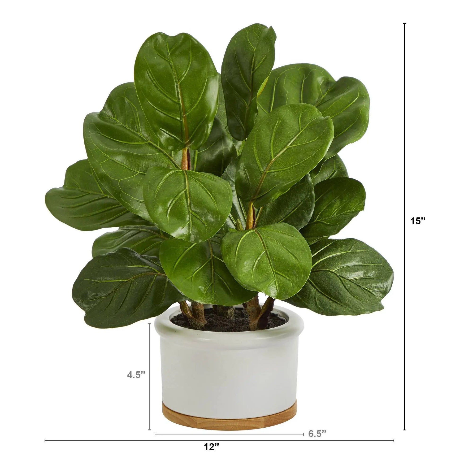 15” Fiddle Leaf Artificial Tree in White Planter - Tampa Home & Garden Store