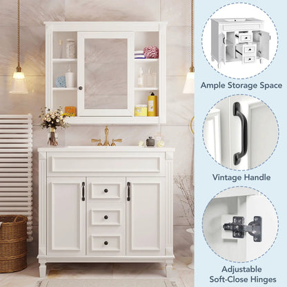 Bathroom vanity with sink and mirror cabinet, white finish, 2 soft-closing doors and 2 drawers on Tampa Home & Garden Store