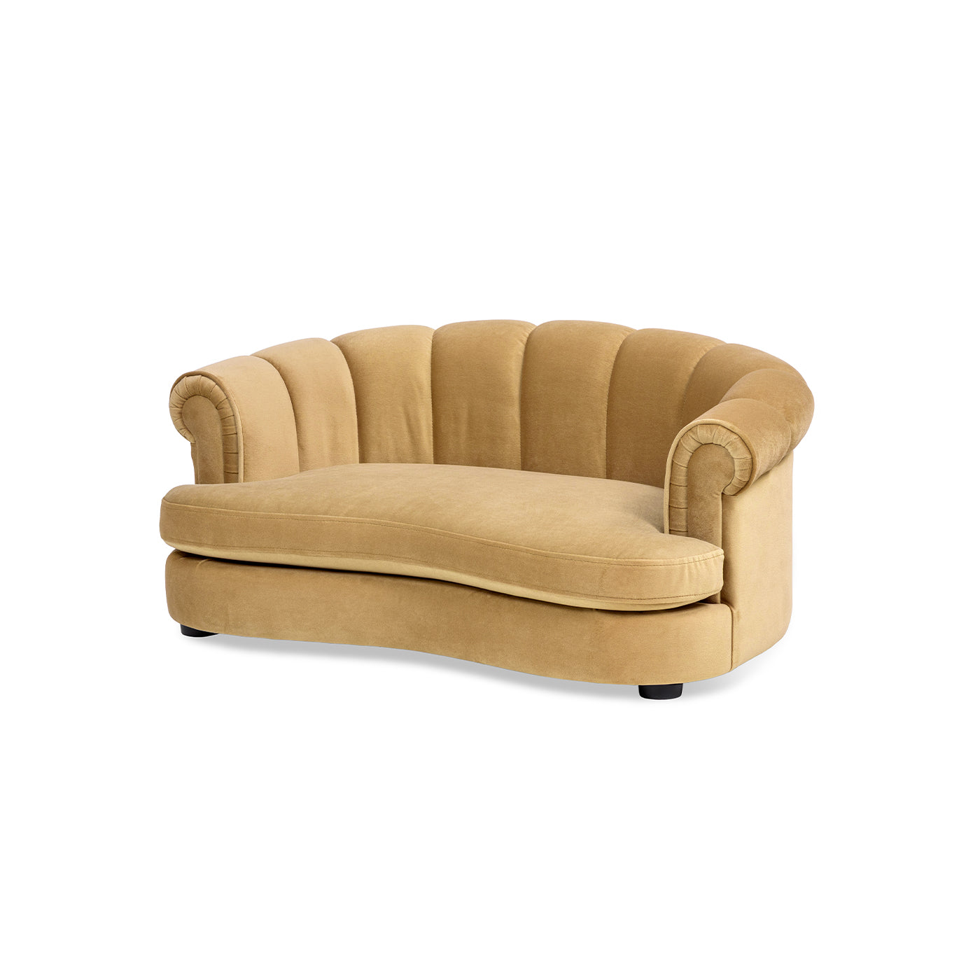 Halle 35.5-inch rolled-arm channel-tufted dog sofa bed in tan velvet by HouseOfZazla on Tampa Home & Garden Store