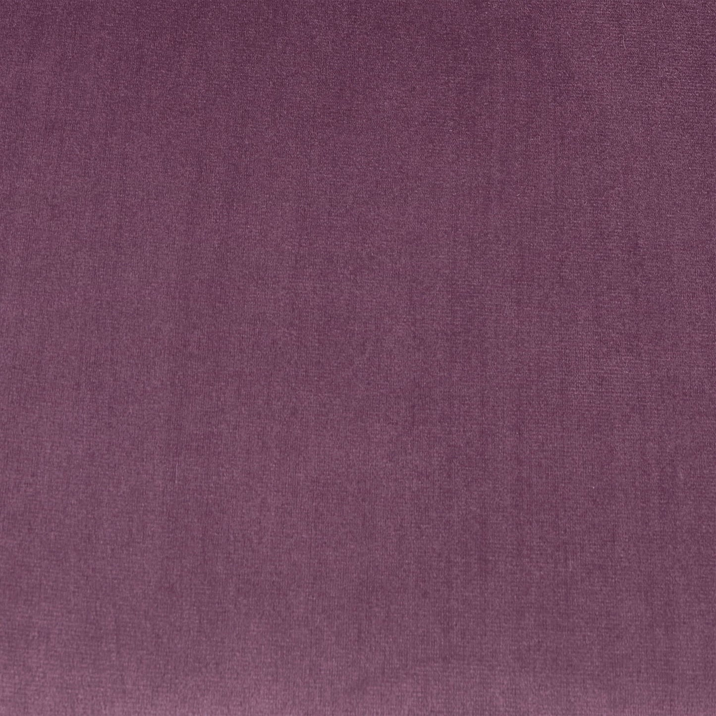 Elegant Curved Armrest Accent Armchair fabric swatch in purple upholstery texture on Tampa Home & Garden Store