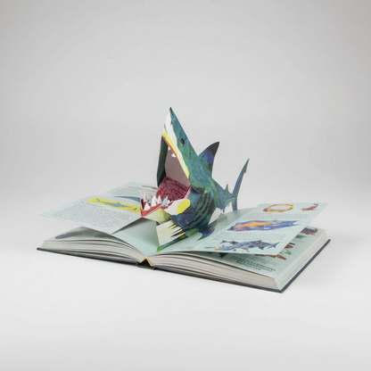3D Dinosaur Pop-Up Book blue-green paper sculpture Moktan Sabai, a vibrant print book on Tampa Home & Garden Store