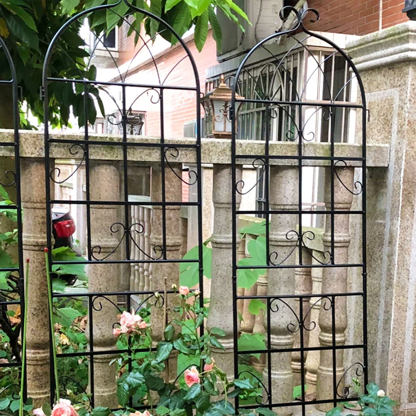 Metal Trellis For Climbing Plants And Vines