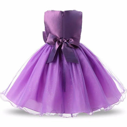 Princess Flower Girl Dress Summer Tutu and Party