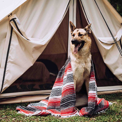 16.5' Avalon Bell Tent - Tampa Home & Garden Store