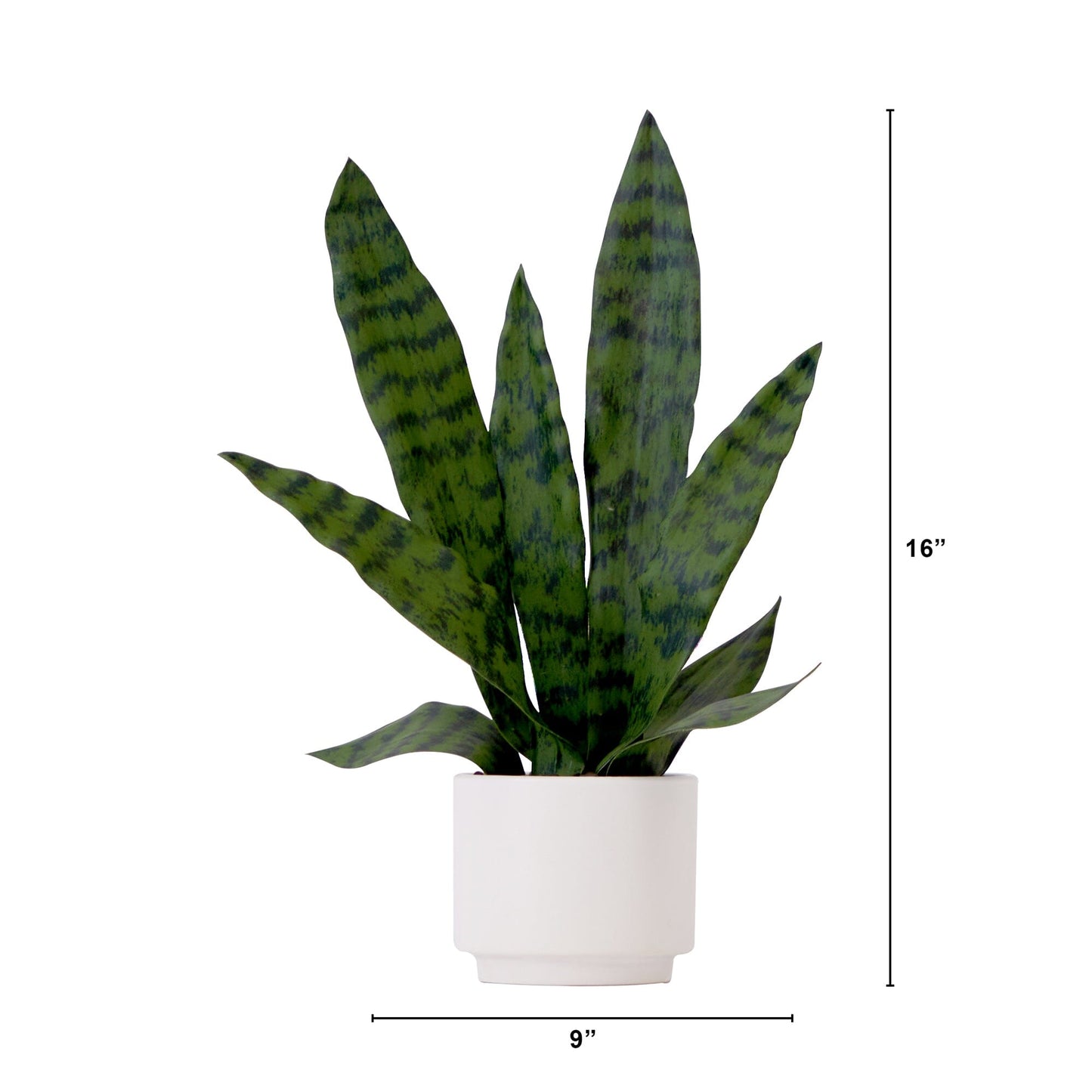 16" Artificial Sansevieria Snake Plant with Decorative Planter - Tampa Home & Garden Store