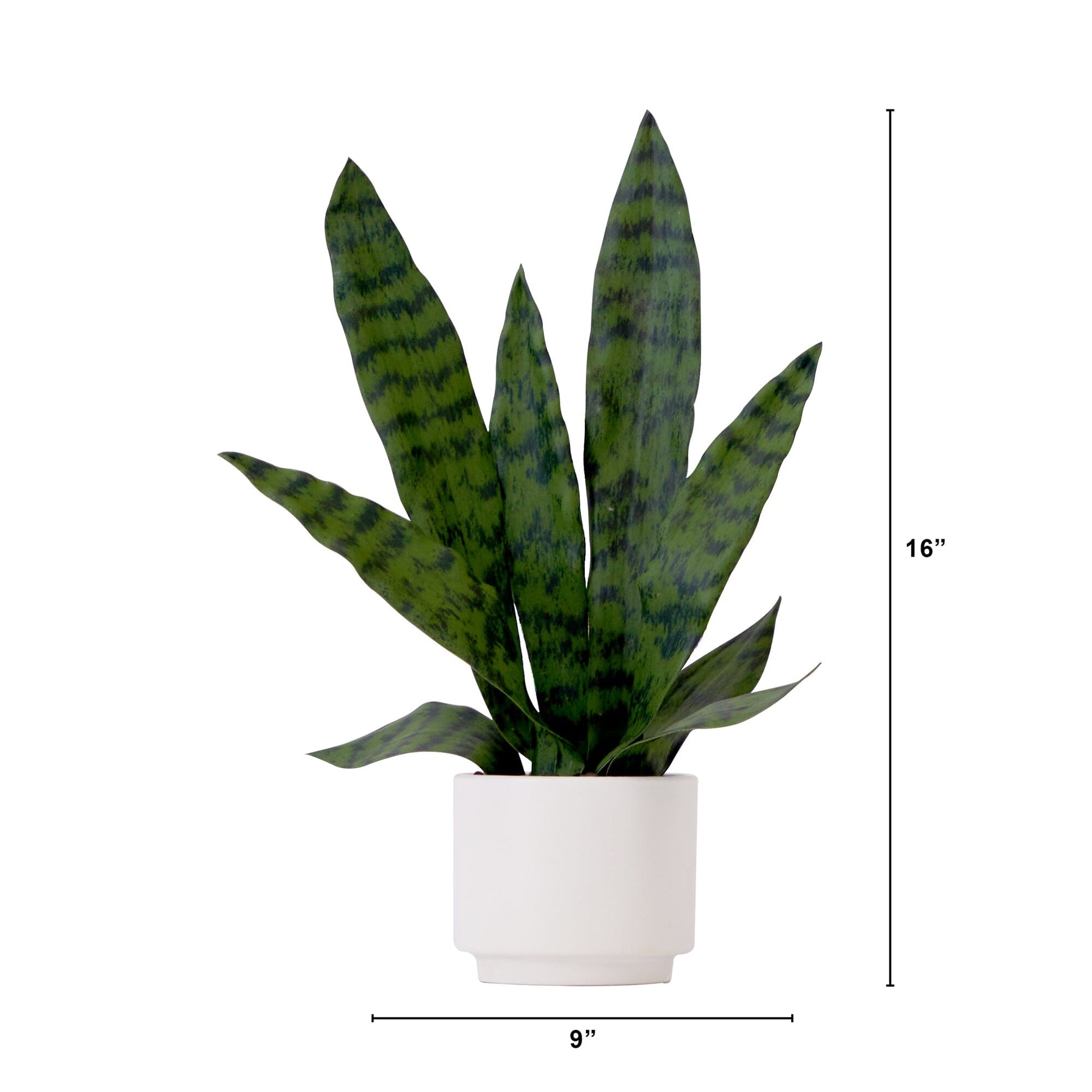 16" Artificial Sansevieria Snake Plant with Decorative Planter - Tampa Home & Garden Store